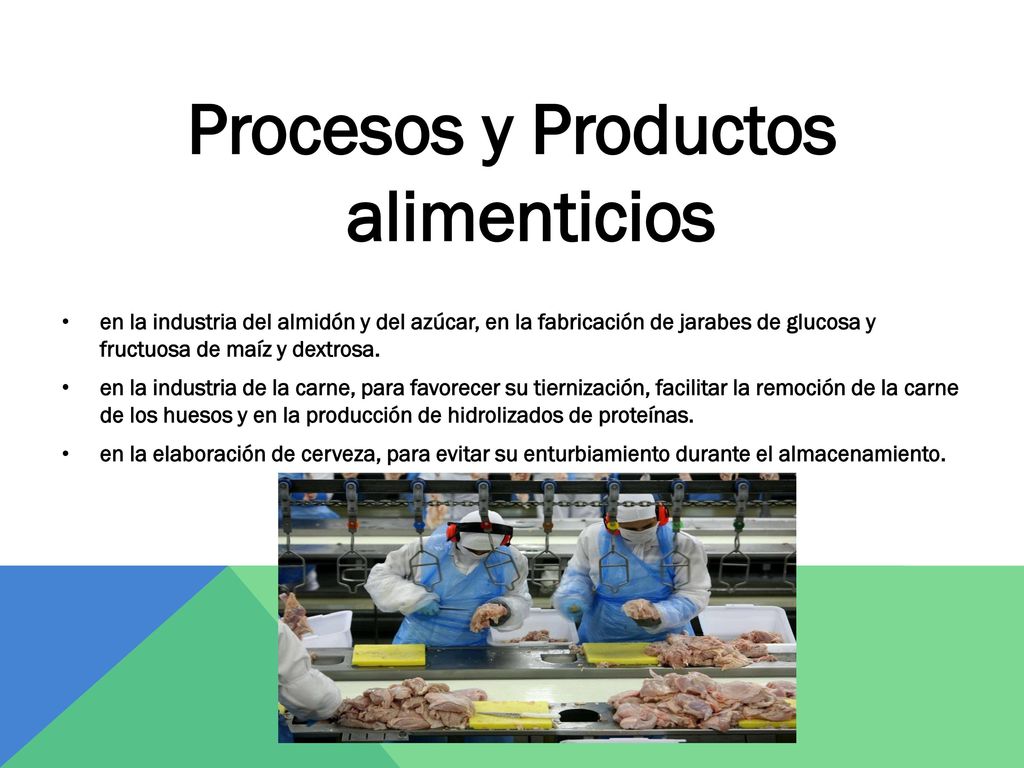 Procesos y Productos alimenticios