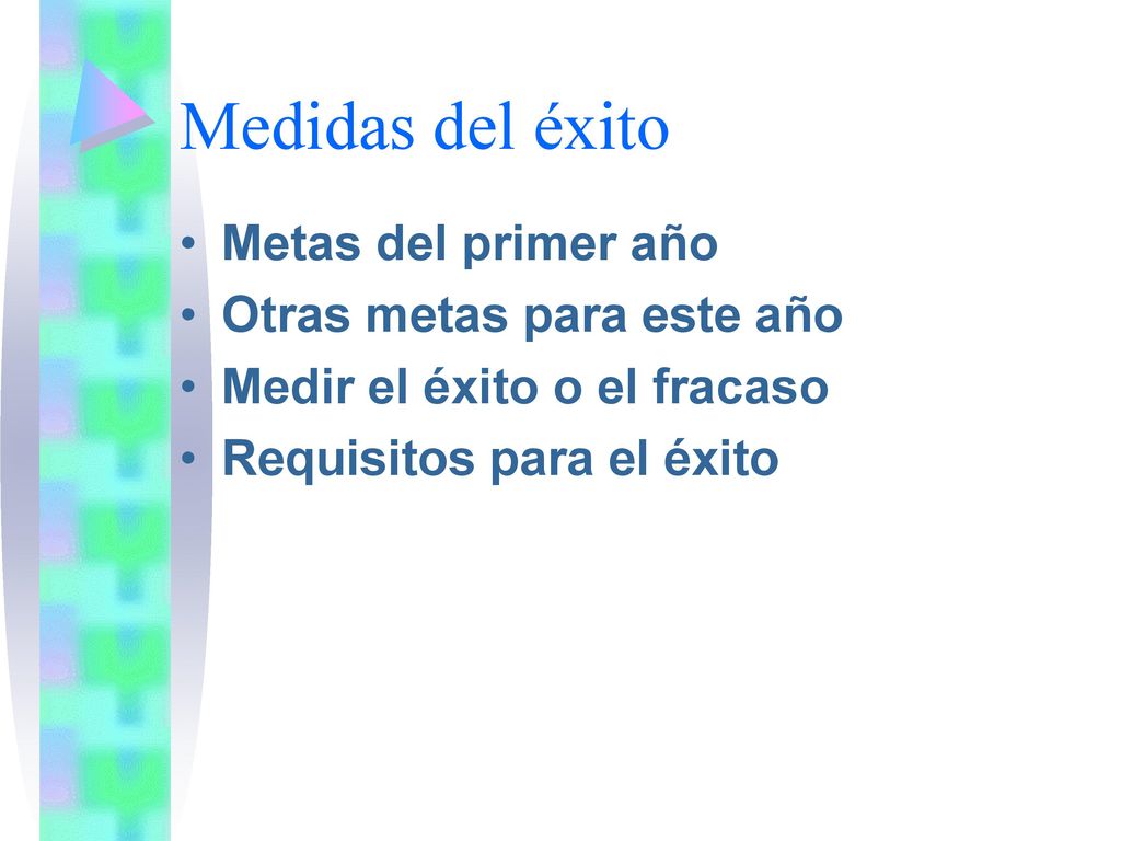 Medidas del éxito Metas del primer año Otras metas para este año