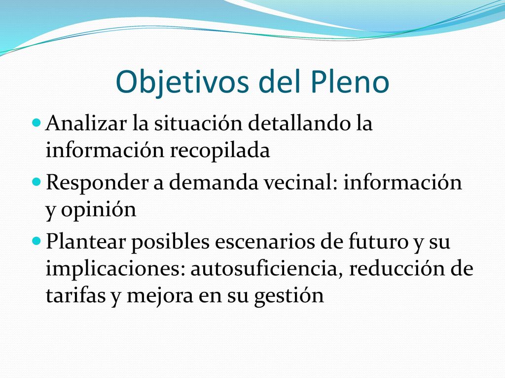 Objetivos del Pleno Analizar la situación detallando la información recopilada. Responder a demanda vecinal: información y opinión.