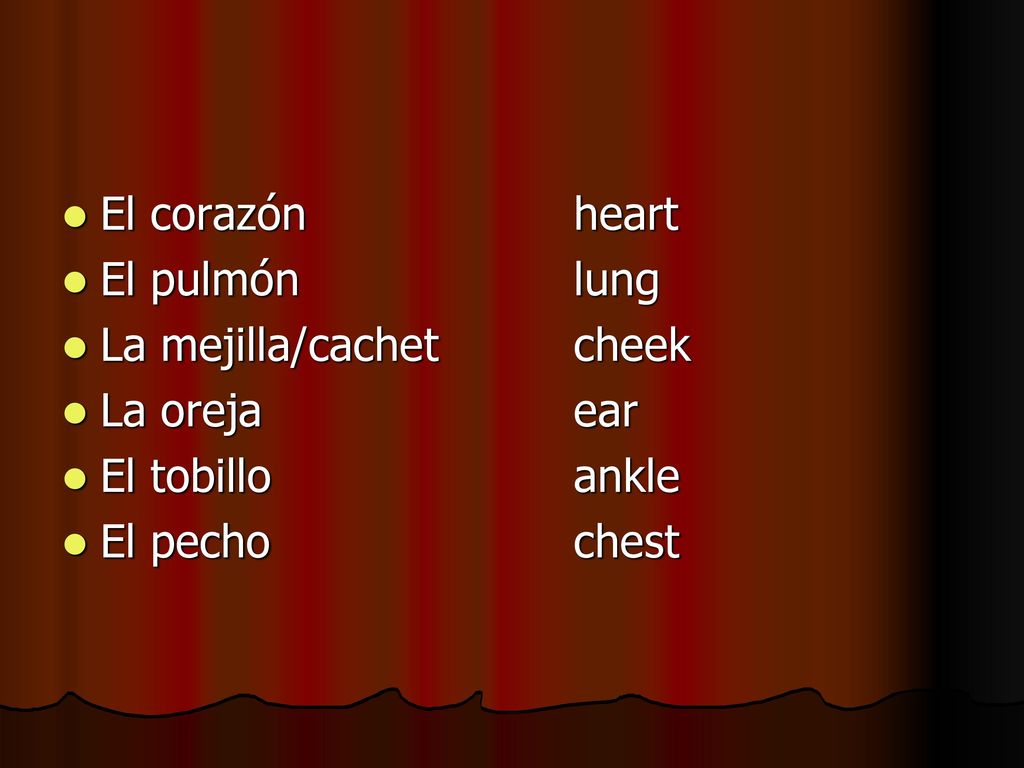 El corazón heart El pulmón lung. La mejilla/cachet cheek. La oreja ear. El tobillo ankle.
