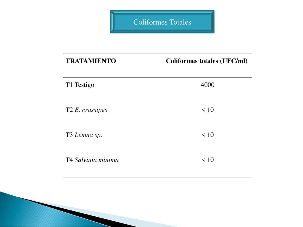 Coliformes Totales TRATAMIENTO Coliformes totales (UFC/ml) T1 Testigo