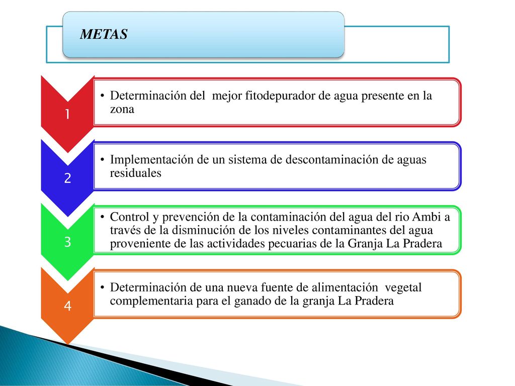 METAS 1. Determinación del mejor fitodepurador de agua presente en la zona. 2.