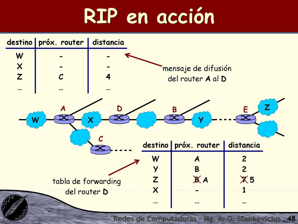 RIP en acción destino W X Z … próx. router - C distancia 4