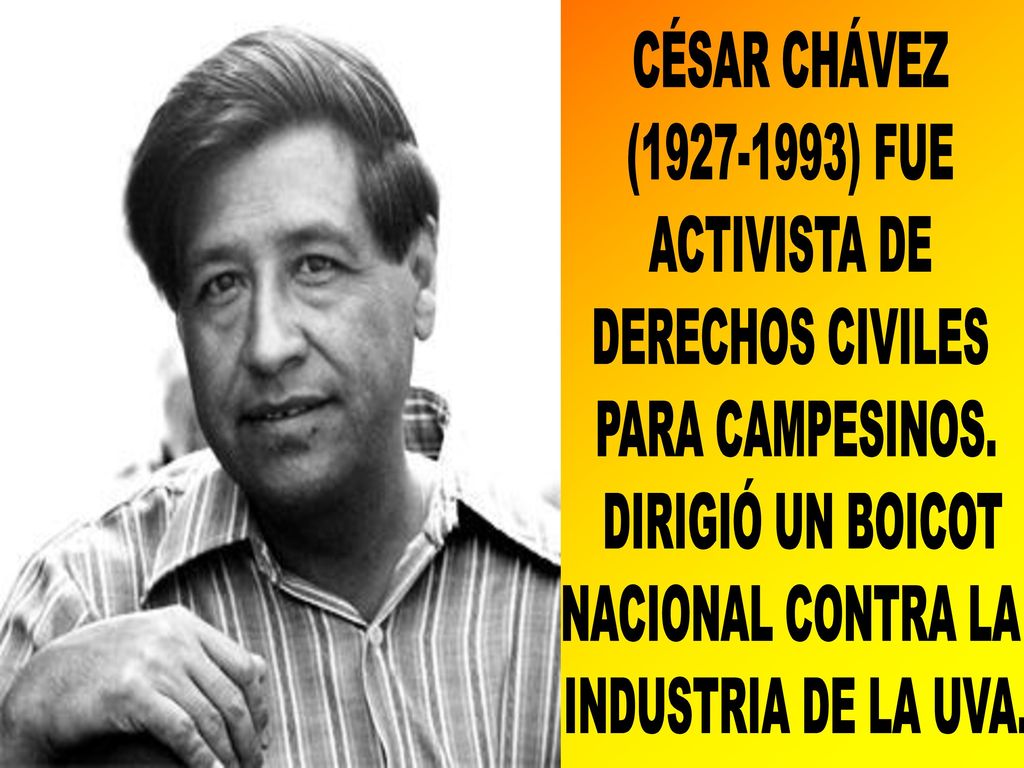 CÉSAR CHÁVEZ ( ) FUE. ACTIVISTA DE. DERECHOS CIVILES. PARA CAMPESINOS. DIRIGIÓ UN BOICOT.