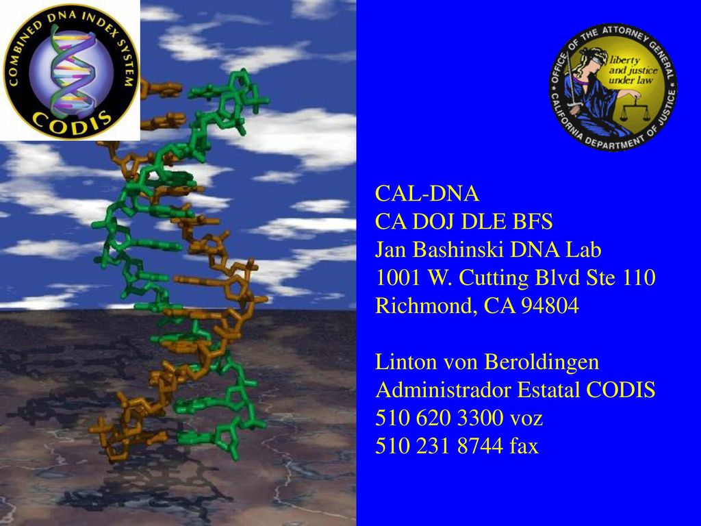 CAL-DNA CA DOJ DLE BFS. Jan Bashinski DNA Lab W. Cutting Blvd Ste 110. Richmond, CA