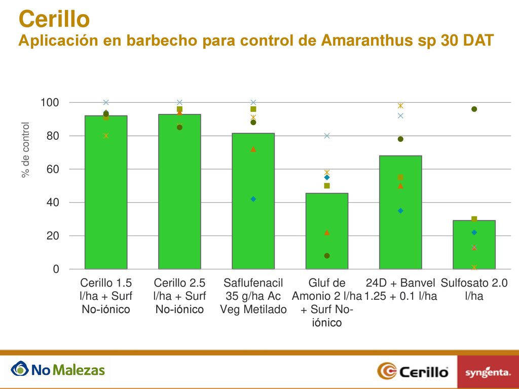 Cerillo Aplicación en barbecho para control de Amaranthus sp 30 DAT