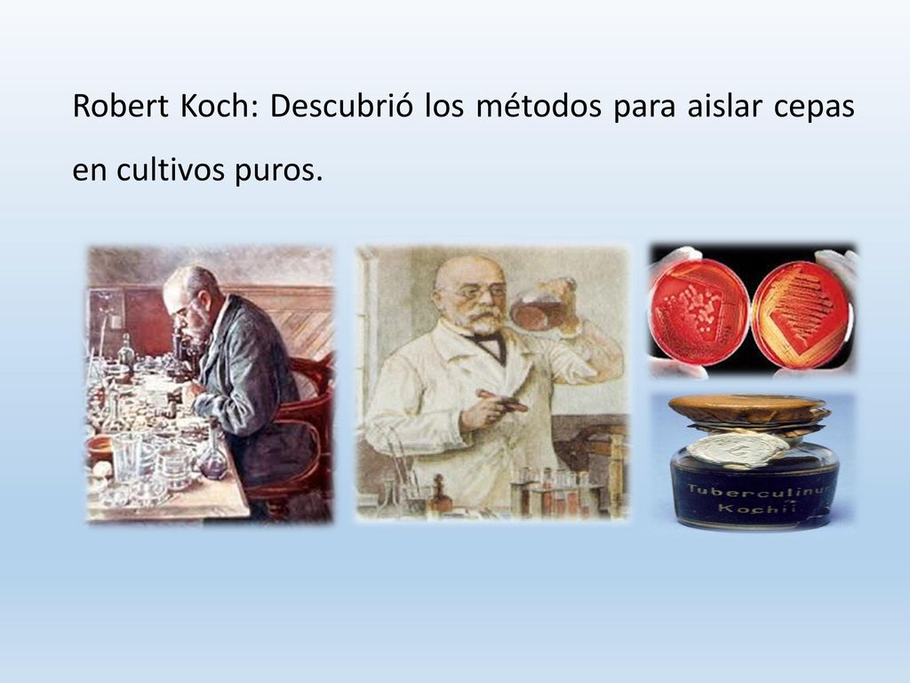 Robert Koch: Descubrió los métodos para aislar cepas en cultivos puros.