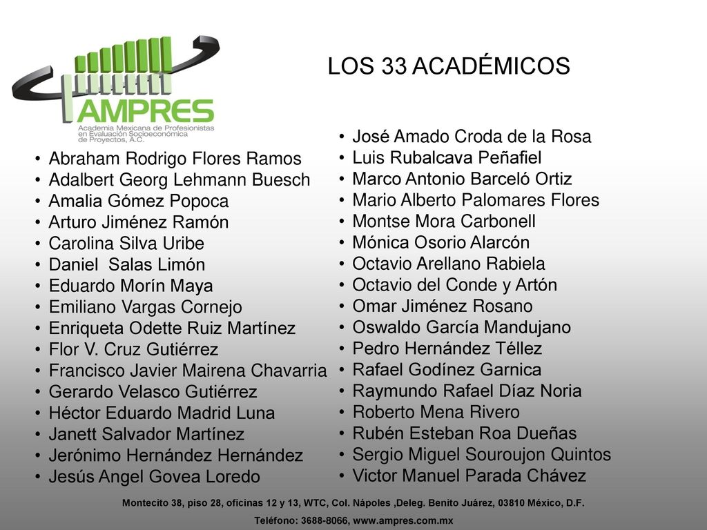 LOS 33 ACADÉMICOS José Amado Croda de la Rosa Luis Rubalcava Peñafiel