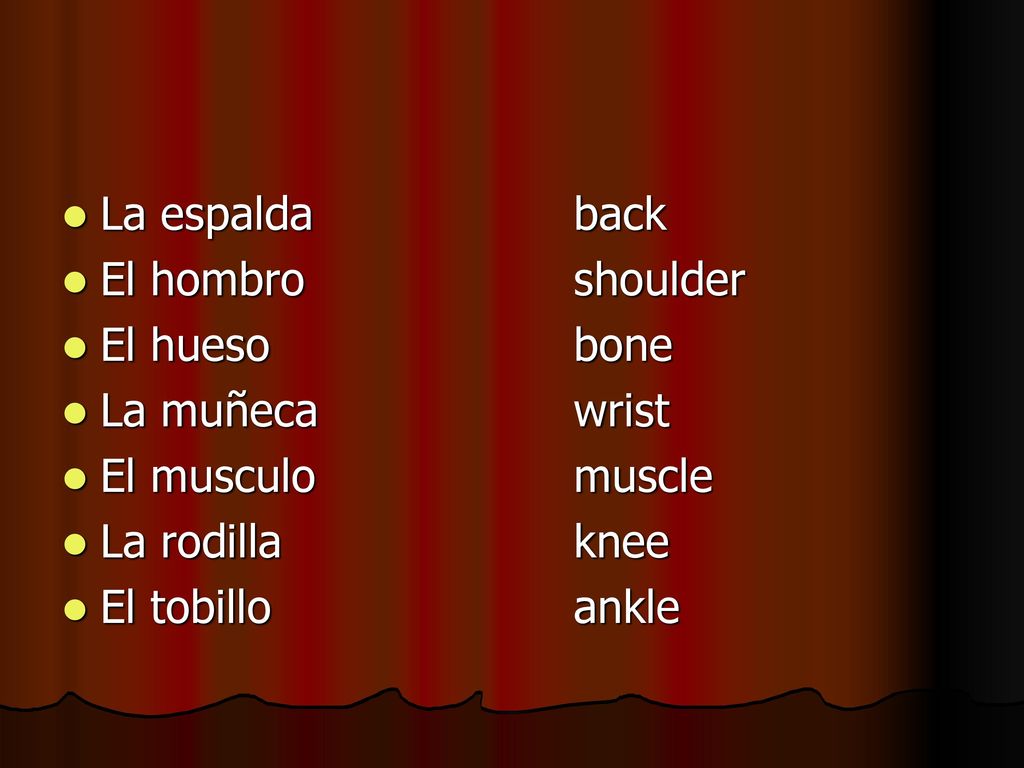 La espalda back El hombro shoulder. El hueso bone. La muñeca wrist. El musculo muscle.
