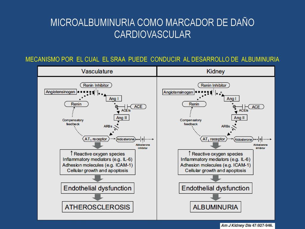 MICROALBUMINURIA COMO MARCADOR DE DAÑO CARDIOVASCULAR