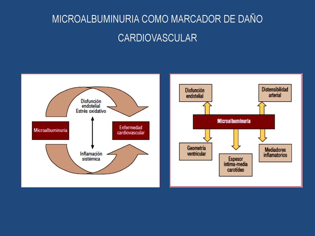 MICROALBUMINURIA COMO MARCADOR DE DAÑO CARDIOVASCULAR