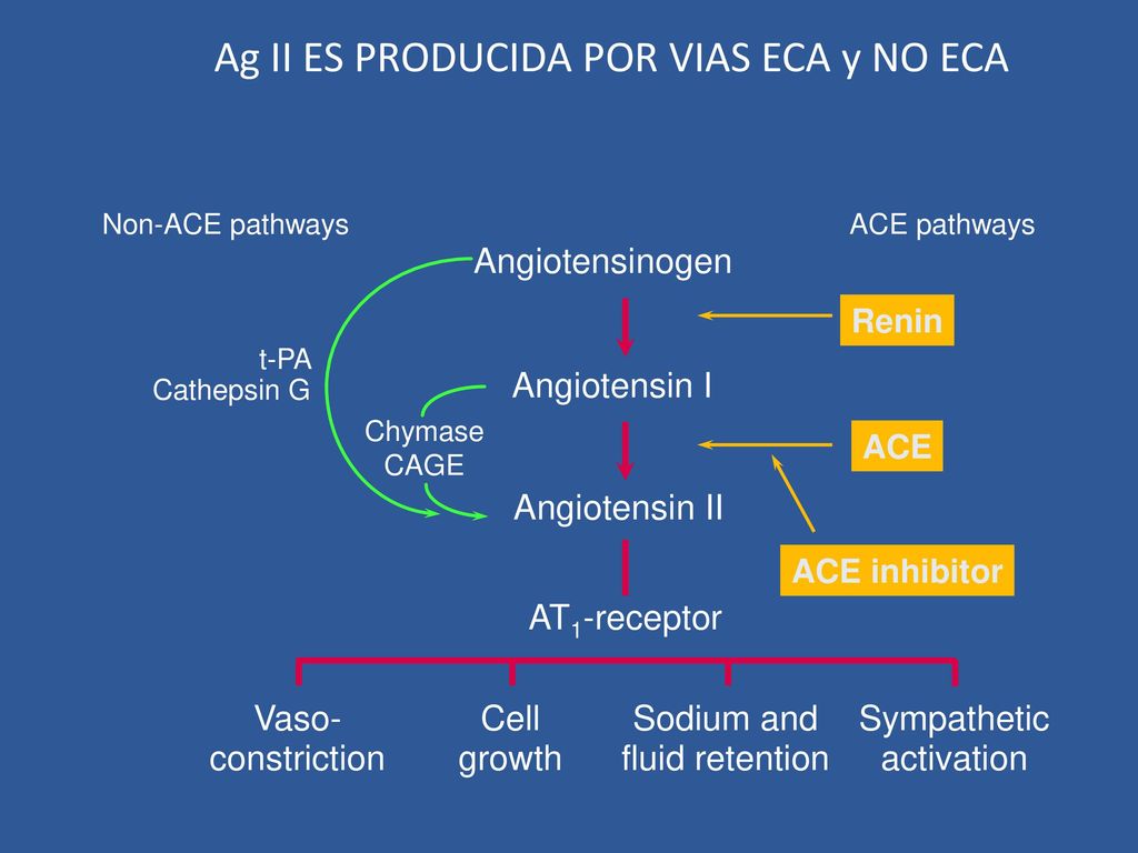 Ag II ES PRODUCIDA POR VIAS ECA y NO ECA