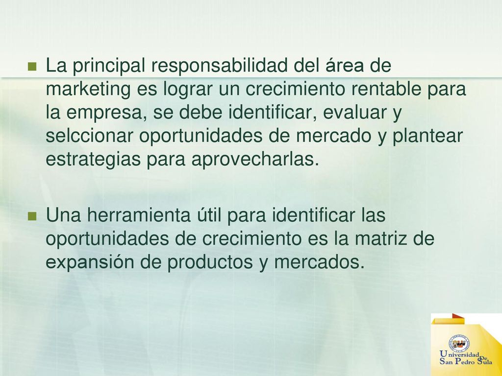 La principal responsabilidad del área de marketing es lograr un crecimiento rentable para la empresa, se debe identificar, evaluar y selccionar oportunidades de mercado y plantear estrategias para aprovecharlas.
