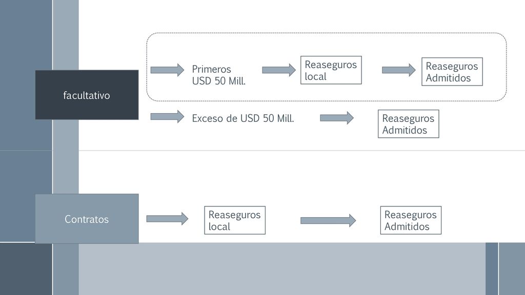 Reaseguros local. Reaseguros. Admitidos. Primeros. USD 50 Mill. facultativo. Exceso de USD 50 Mill.