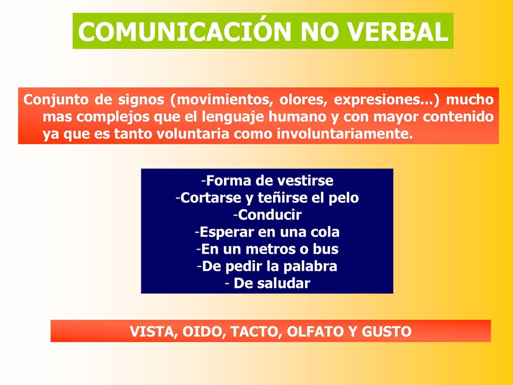 Cortarse y teñirse el pelo VISTA, OIDO, TACTO, OLFATO Y GUSTO