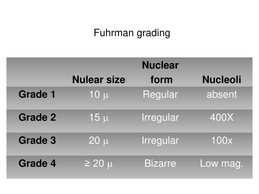 Fuhrman grading Nulear size. Nuclear. form. Nucleoli. Grade  Regular. absent. Grade 2.