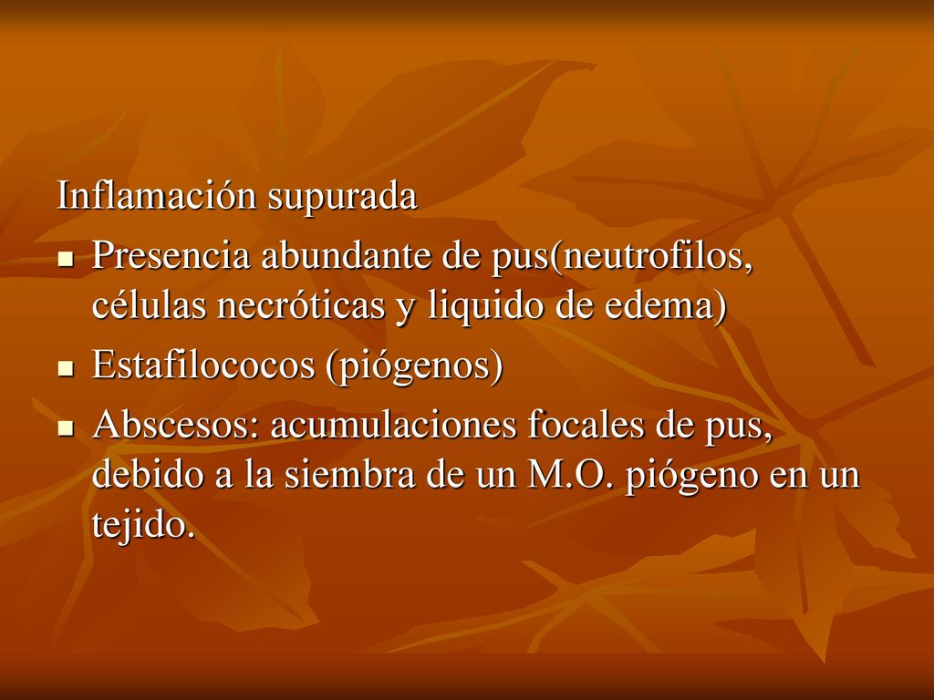 Inflamación supurada Presencia abundante de pus(neutrofilos, células necróticas y liquido de edema)