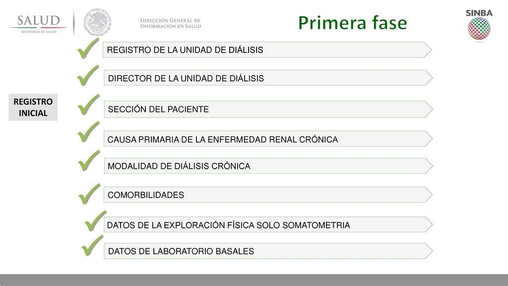 P P P P P P P P Primera fase REGISTRO INICIAL