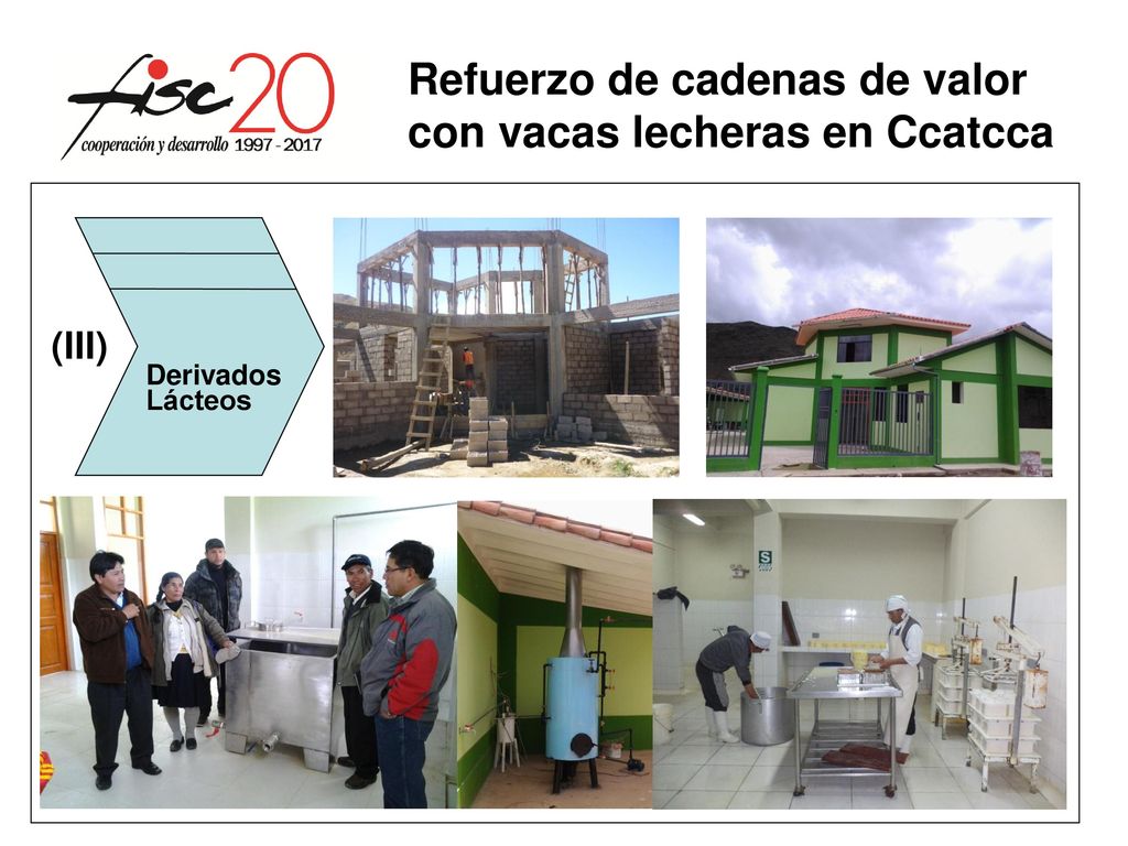 Refuerzo de cadenas de valor con vacas lecheras en Ccatcca