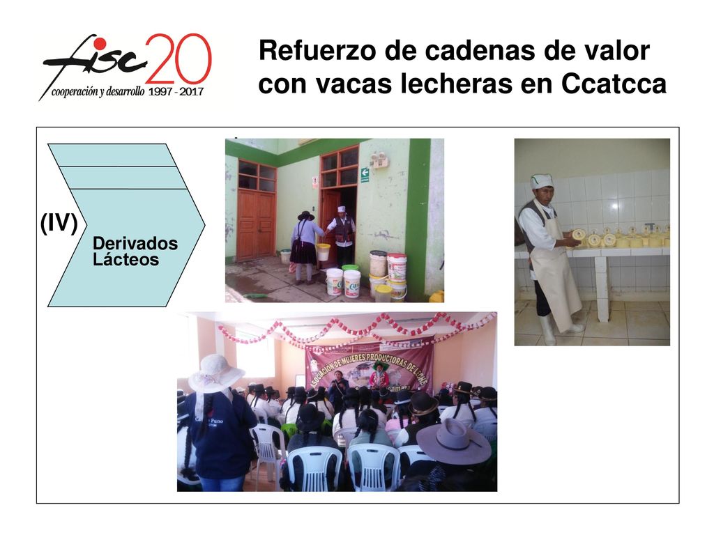 Refuerzo de cadenas de valor con vacas lecheras en Ccatcca