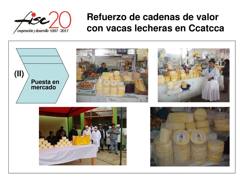 Refuerzo de cadenas de valor con vacas lecheras en Ccatcca