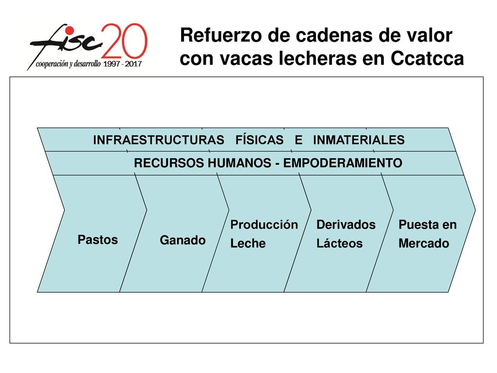 Refuerzo de cadenas de valor con vacas lecheras en Ccatcca