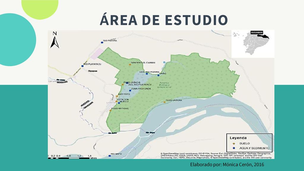 ÁREA DE ESTUDIO Cantón Shushufindi, provincia de Sucumbíos, región Amazónica norte del Ecuador.