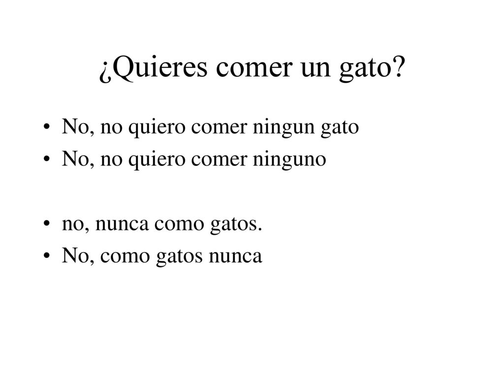 ¿Quieres comer un gato No, no quiero comer ningun gato