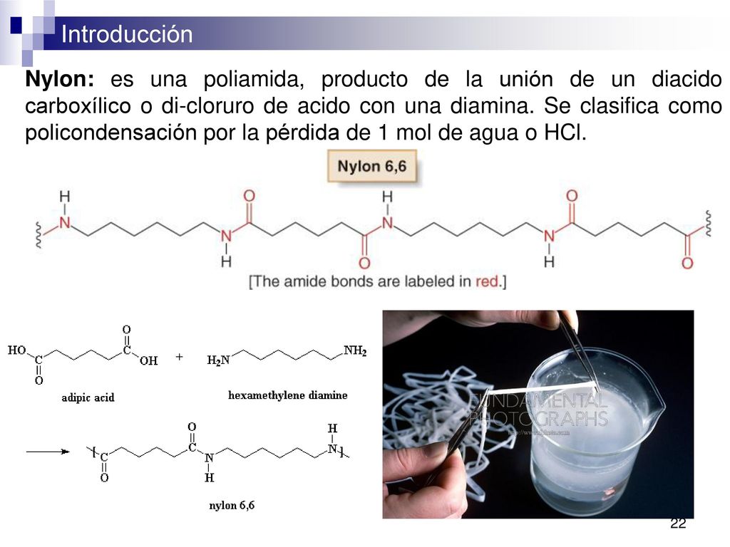 Nylon: es una poliamida, producto de la unión de un diacido carboxílico o di-cloruro de acido con una diamina.