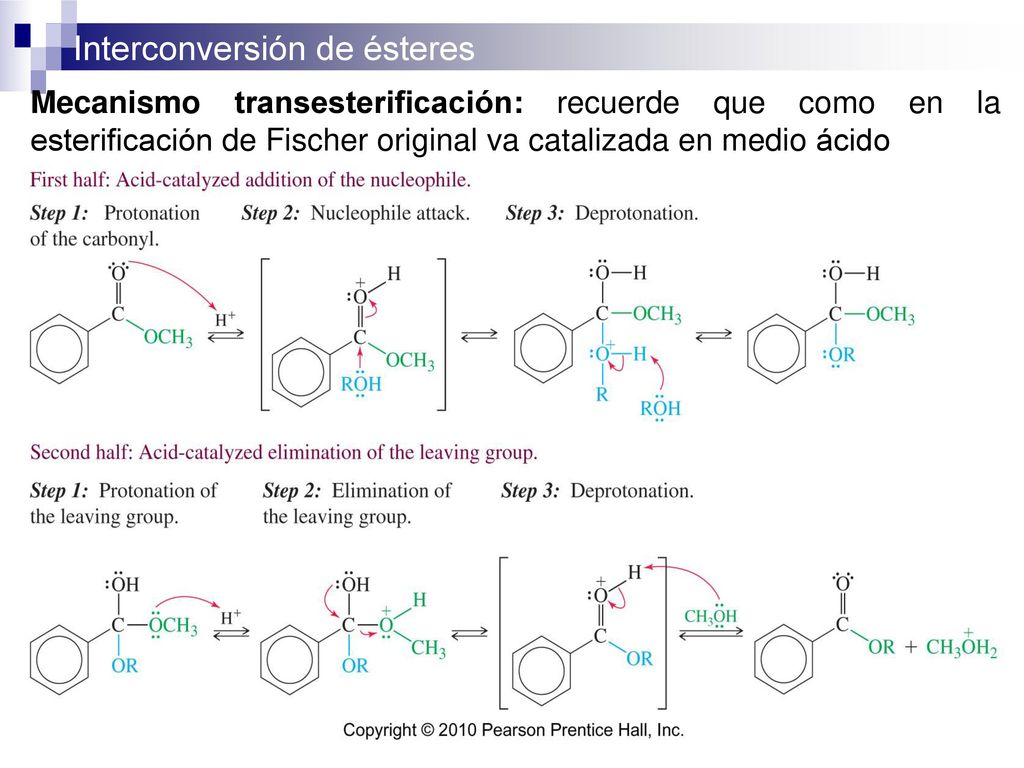 Mecanismo transesterificación: recuerde que como en la esterificación de Fischer original va catalizada en medio ácido