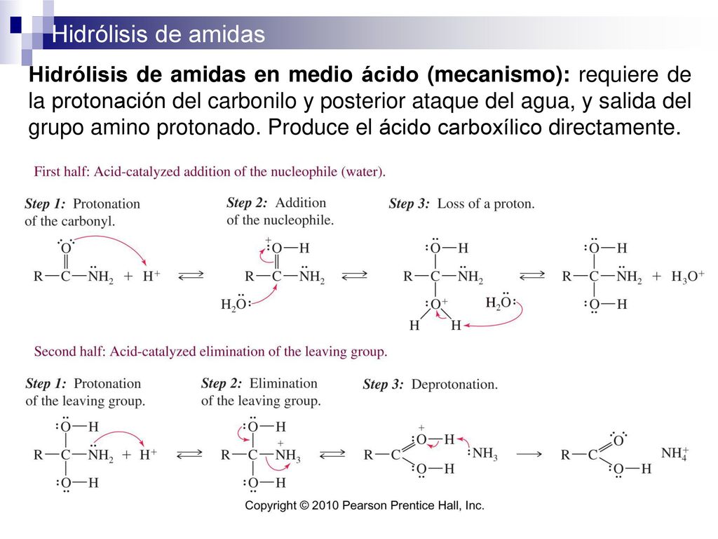 Hidrólisis de amidas en medio ácido (mecanismo): requiere de la protonación del carbonilo y posterior ataque del agua, y salida del grupo amino protonado.