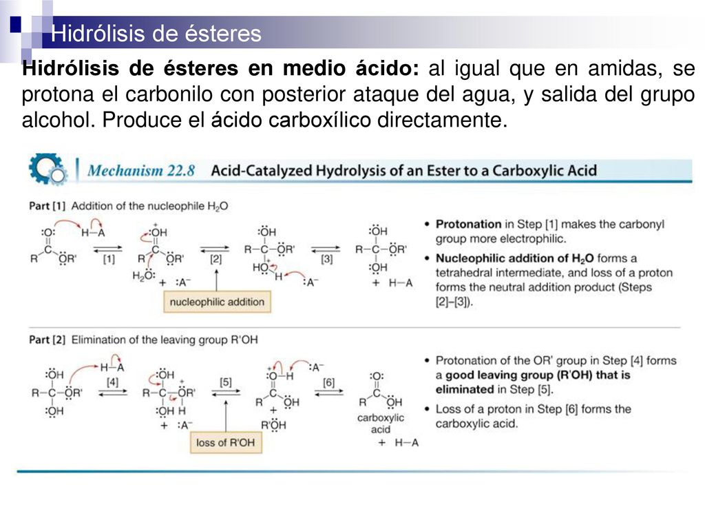 Hidrólisis de ésteres en medio ácido: al igual que en amidas, se protona el carbonilo con posterior ataque del agua, y salida del grupo alcohol.