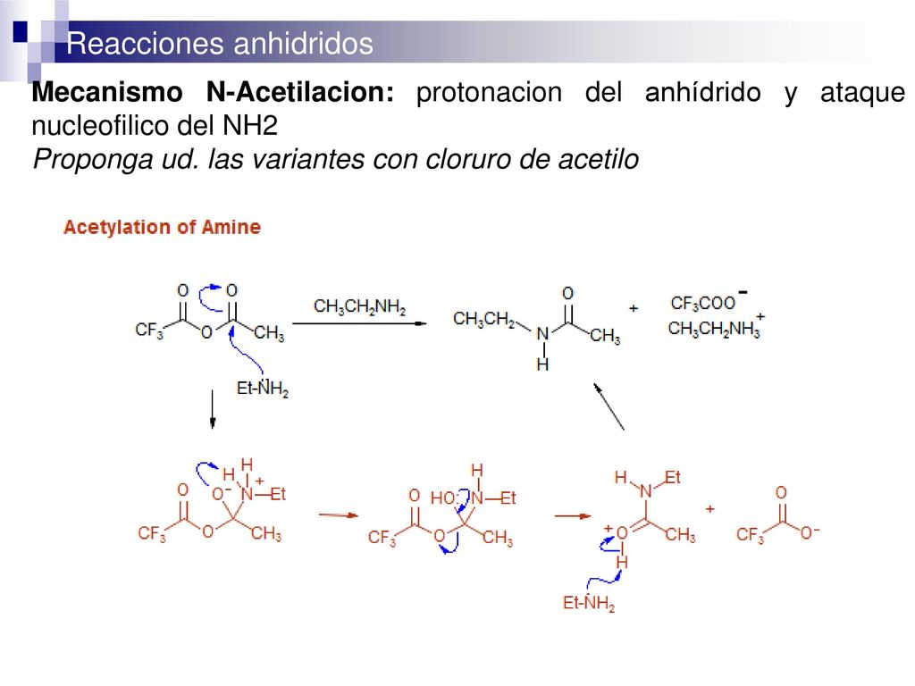 Mecanismo N-Acetilacion: protonacion del anhídrido y ataque nucleofilico del NH2
