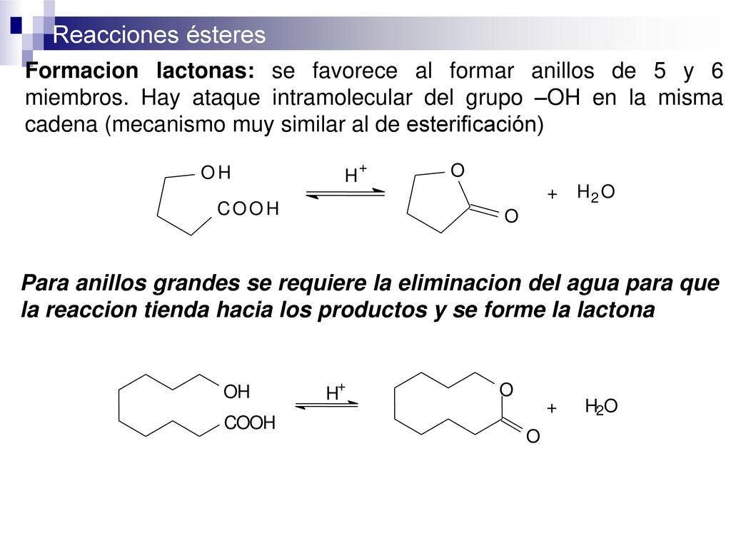 Formacion lactonas: se favorece al formar anillos de 5 y 6 miembros