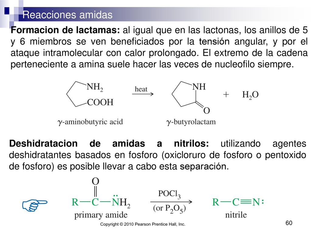 Formacion de lactamas: al igual que en las lactonas, los anillos de 5 y 6 miembros se ven beneficiados por la tensión angular, y por el ataque intramolecular con calor prolongado. El extremo de la cadena perteneciente a amina suele hacer las veces de nucleofilo siempre.