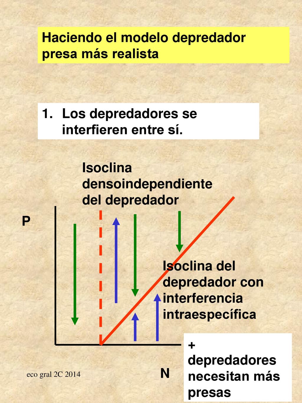 Haciendo el modelo depredador presa más realista
