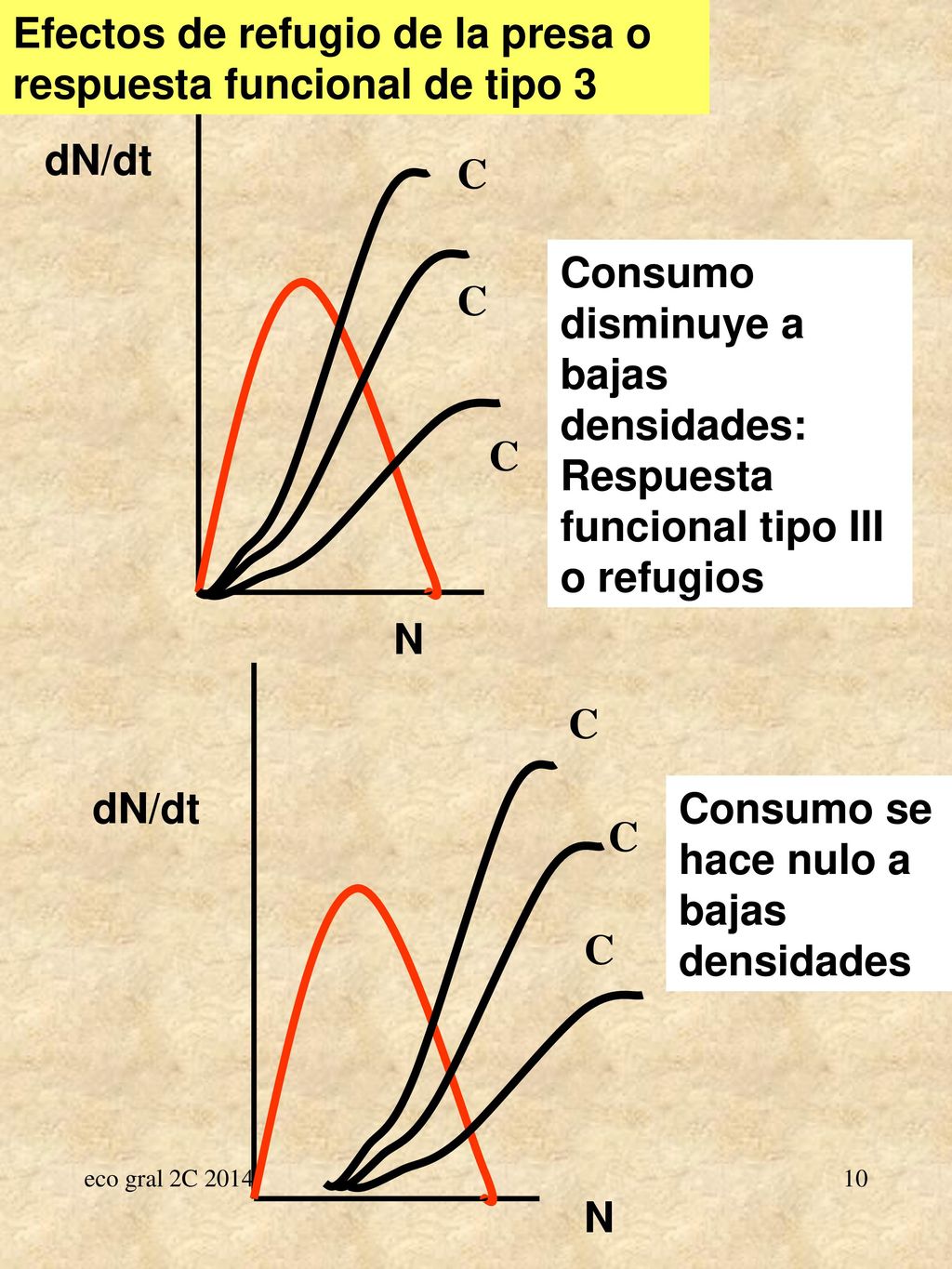 Efectos de refugio de la presa o respuesta funcional de tipo 3
