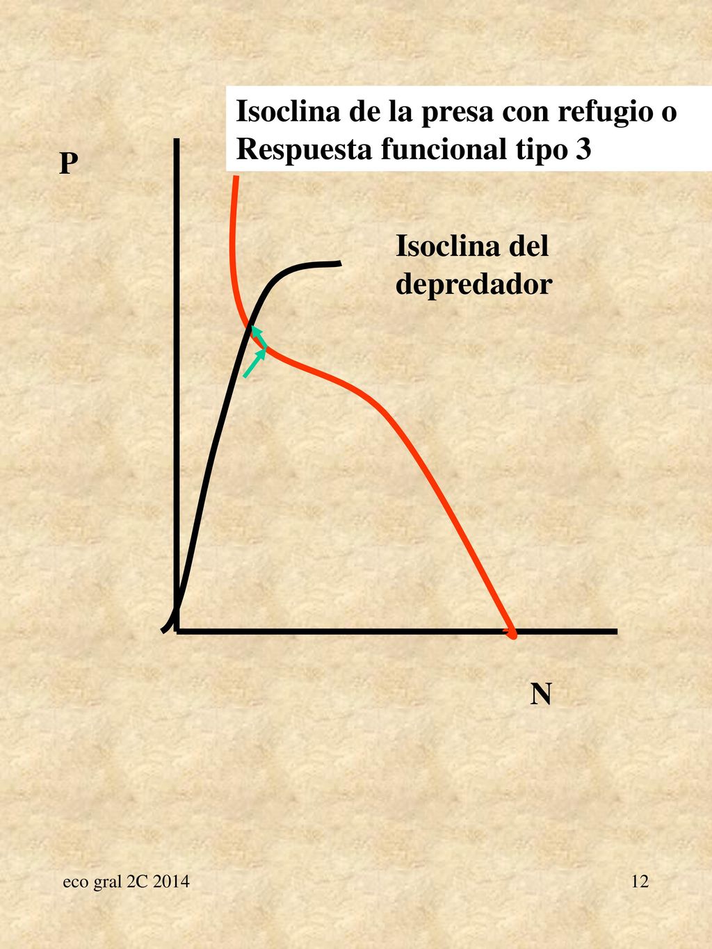 Isoclina de la presa con refugio o Respuesta funcional tipo 3