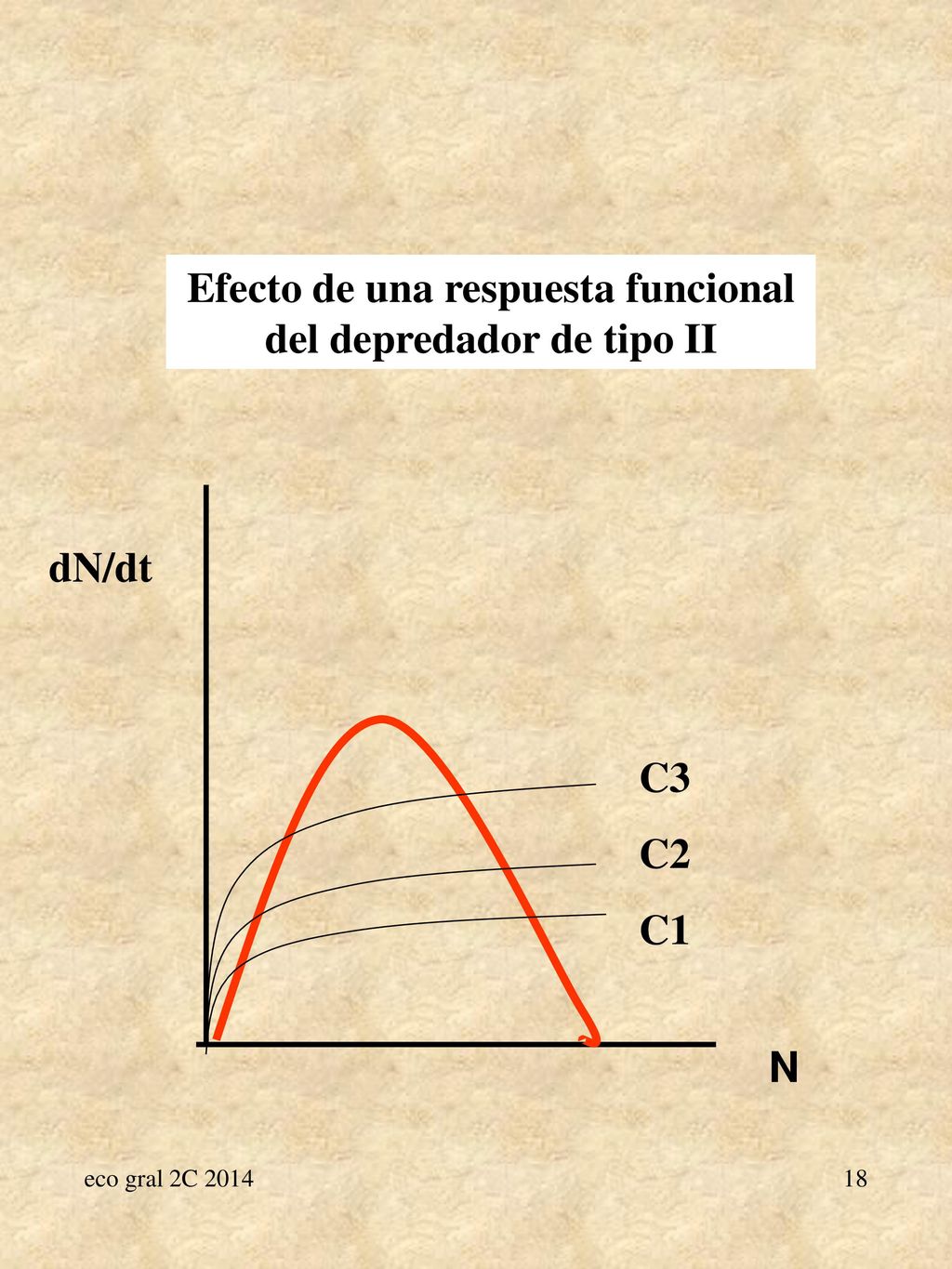 Efecto de una respuesta funcional del depredador de tipo II