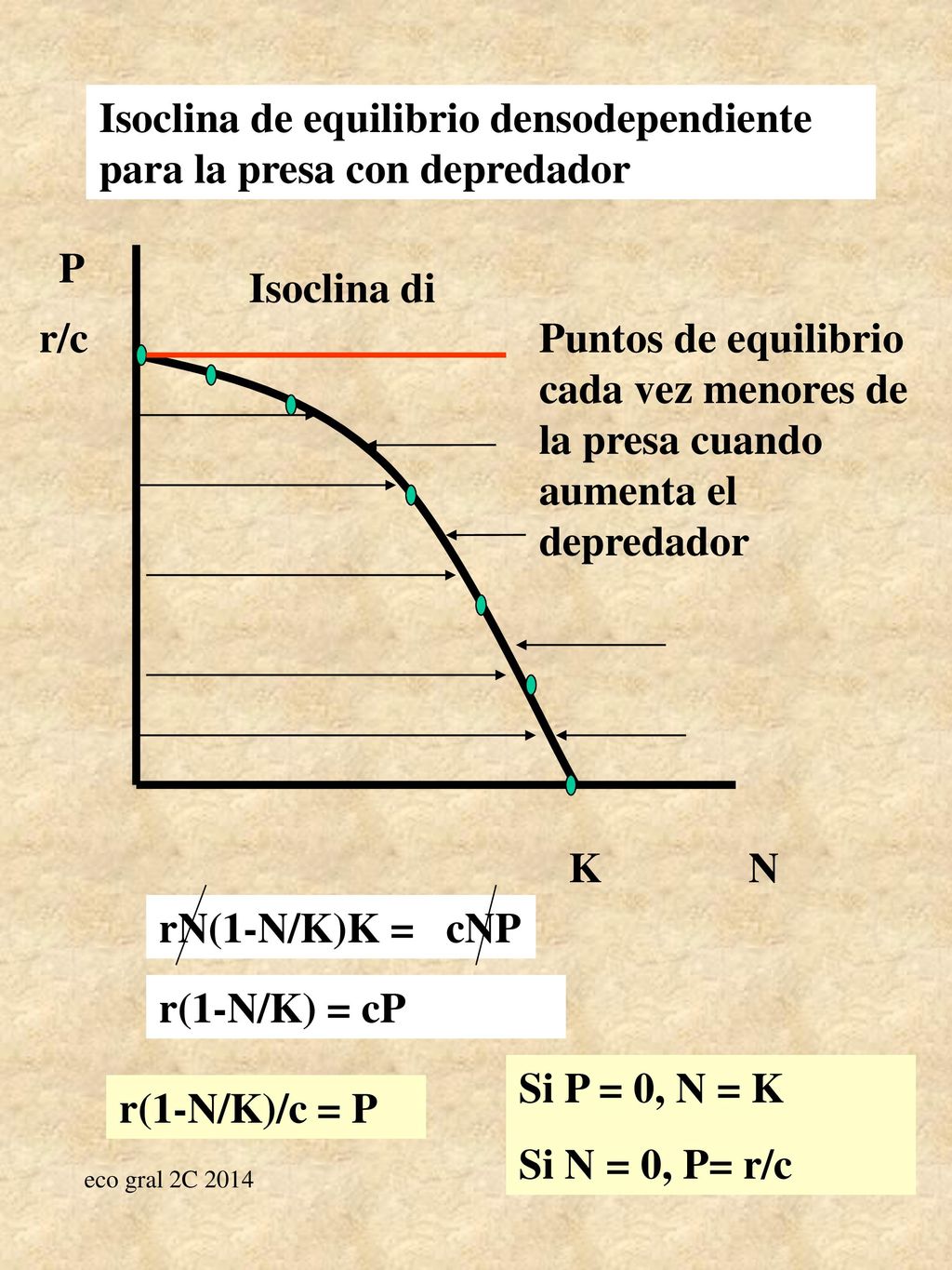 Isoclina de equilibrio densodependiente para la presa con depredador