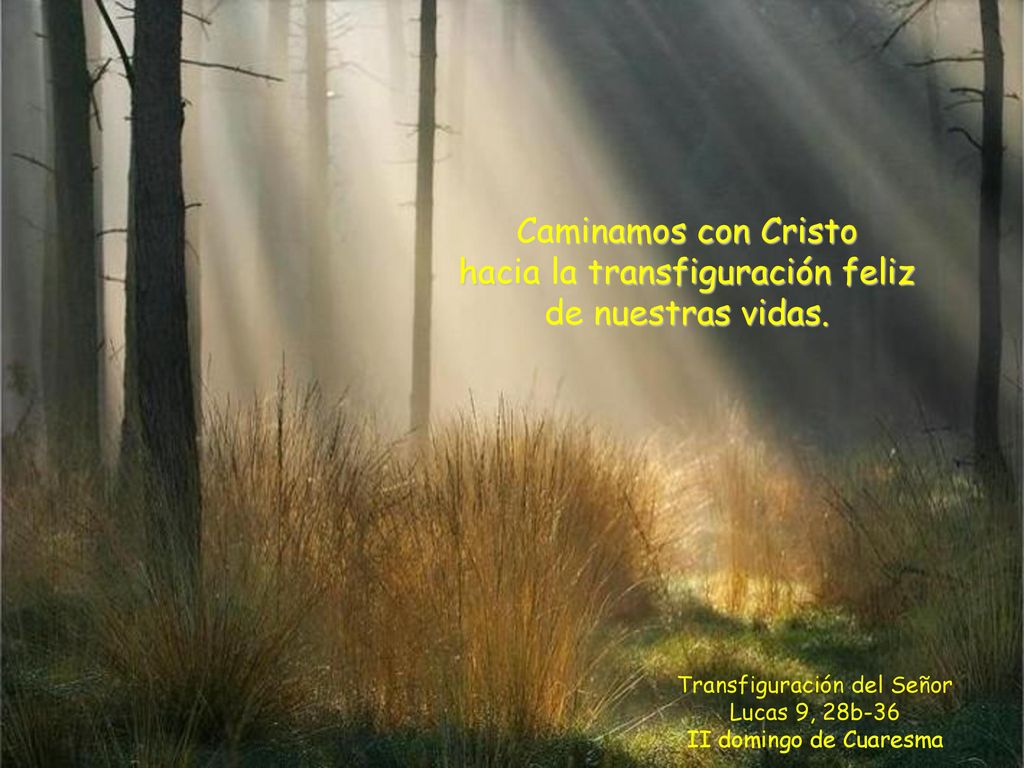 Caminamos con Cristo hacia la transfiguración feliz de nuestras vidas.