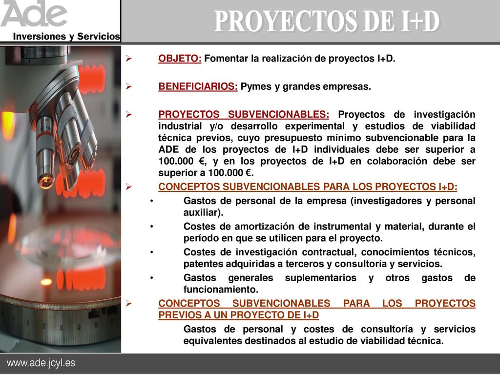 PROYECTOS DE I+D OBJETO: Fomentar la realización de proyectos I+D.