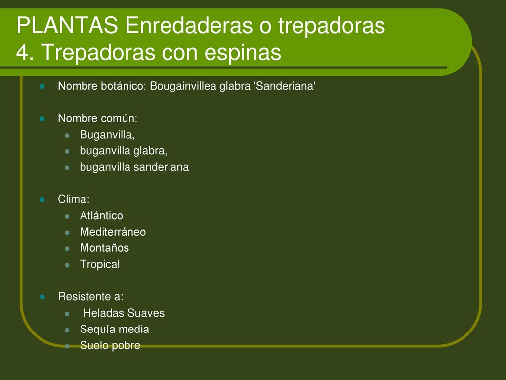 PLANTAS Enredaderas o trepadoras 4. Trepadoras con espinas