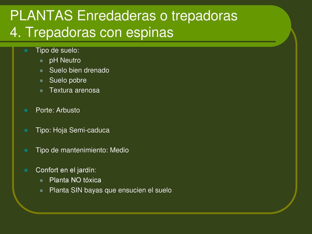 PLANTAS Enredaderas o trepadoras 4. Trepadoras con espinas