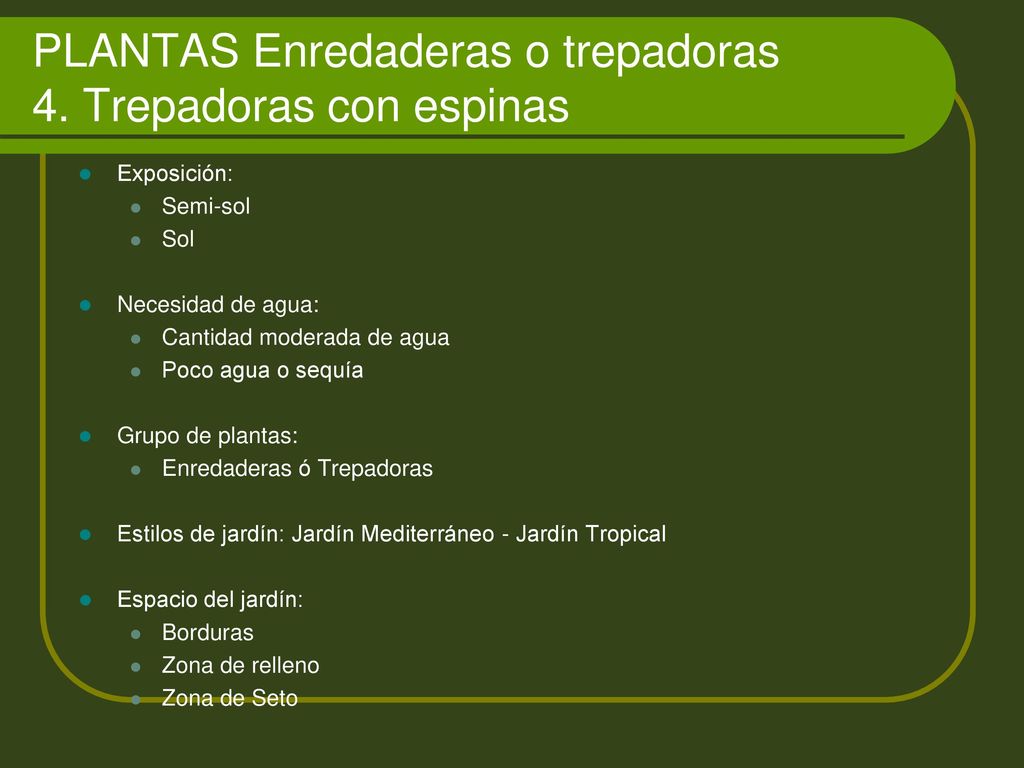 PLANTAS Enredaderas o trepadoras 4. Trepadoras con espinas