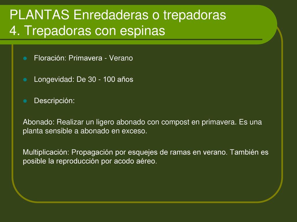 PLANTAS Enredaderas o trepadoras 4. Trepadoras con espinas