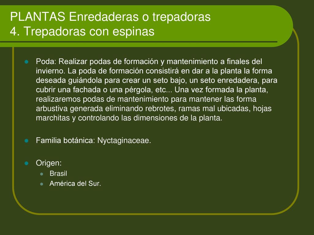 PLANTAS Enredaderas o trepadoras 4. Trepadoras con espinas
