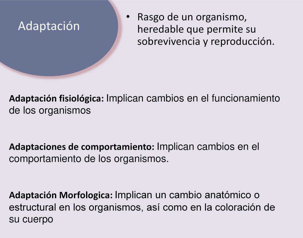 Adaptación Rasgo de un organismo, heredable que permite su sobrevivencia y reproducción.