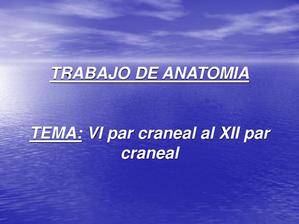 TRABAJO DE ANATOMIA TEMA: VI par craneal al XII par craneal