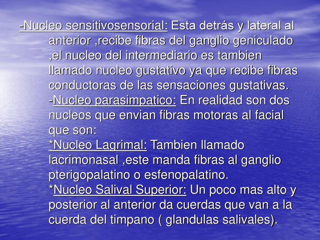 -Nucleo sensitivosensorial: Esta detrás y lateral al anterior ,recibe fibras del ganglio geniculado ,el nucleo del intermediario es tambien llamado nucleo gustativo ya que recibe fibras conductoras de las sensaciones gustativas.